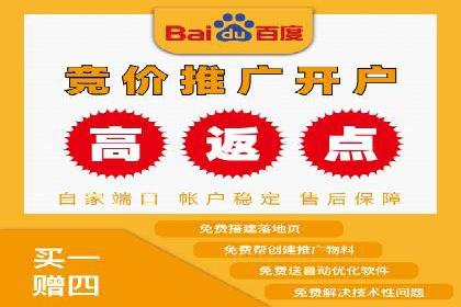 竞价托管SEM策略：提升网站流量与转化