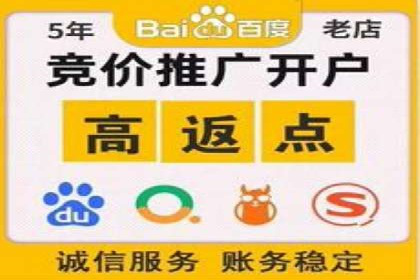 专业SEM托管服务成功案例分享